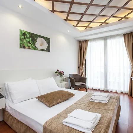 Hotell Buyukada Comfort 3*