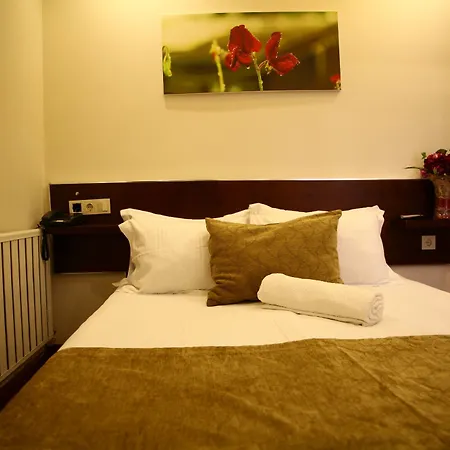 מלון Buyukada Comfort 3*